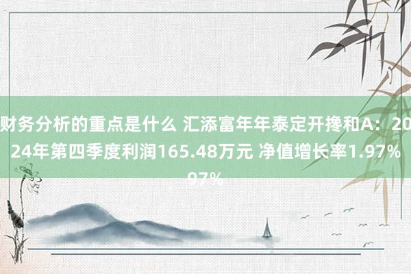 财务分析的重点是什么 汇添富年年泰定开搀和A：2024年第四季度利润165.48万元 净值增长率1.97%