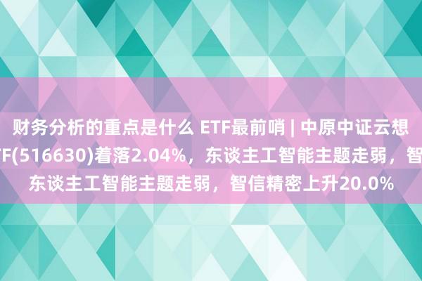 财务分析的重点是什么 ETF最前哨 | 中原中证云想象与大数据主题ETF(516630)着落2.04%，东谈主工智能主题走弱，智信精密上升20.0%