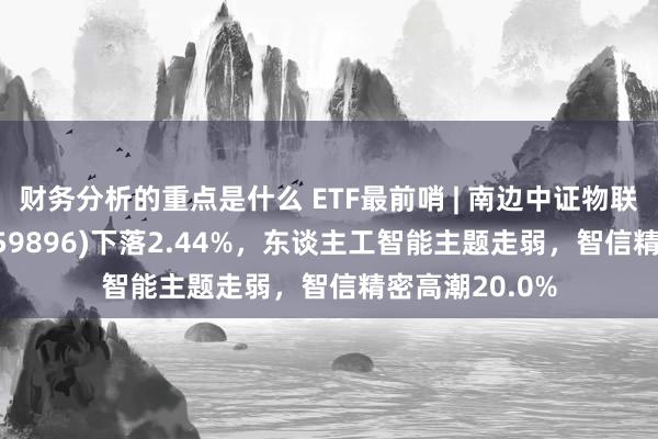 财务分析的重点是什么 ETF最前哨 | 南边中证物联网主题ETF(159896)下落2.44%，东谈主工智能主题走弱，智信精密高潮20.0%