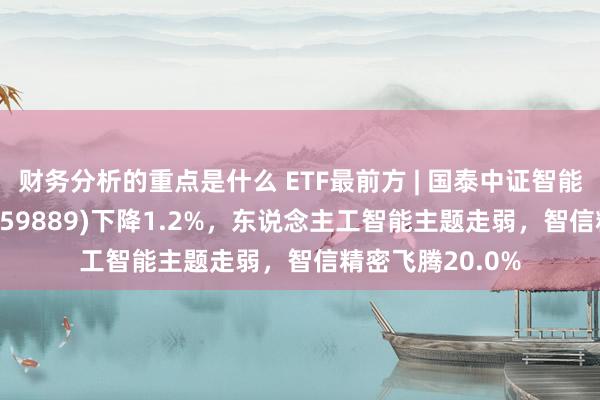 财务分析的重点是什么 ETF最前方 | 国泰中证智能汽车主题ETF(159889)下降1.2%，东说念主工智能主题走弱，智信精密飞腾20.0%