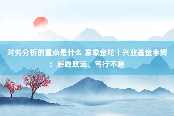 财务分析的重点是什么 意象金蛇｜兴业基金李辉：履践致远、笃行不怠