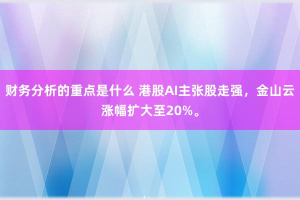 财务分析的重点是什么 港股AI主张股走强，金山云涨幅扩大至20%。