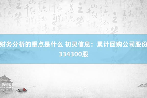 财务分析的重点是什么 初灵信息：累计回购公司股份334300股