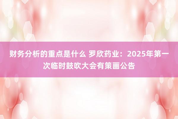 财务分析的重点是什么 罗欣药业：2025年第一次临时鼓吹大会有策画公告