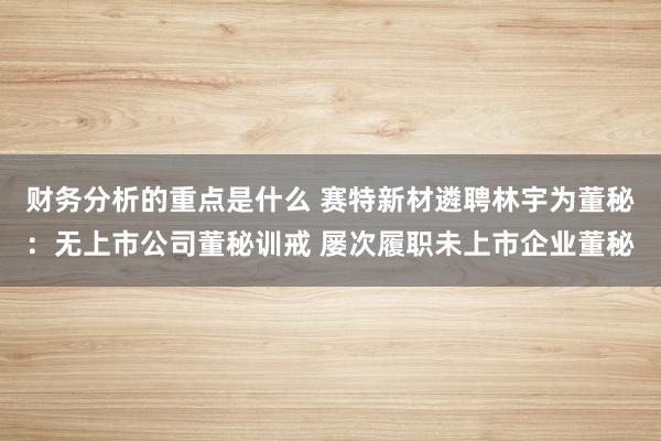 财务分析的重点是什么 赛特新材遴聘林宇为董秘：无上市公司董秘训戒 屡次履职未上市企业董秘