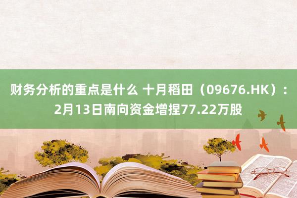 财务分析的重点是什么 十月稻田（09676.HK）：2月13日南向资金增捏77.22万股