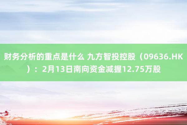 财务分析的重点是什么 九方智投控股（09636.HK）：2月13日南向资金减握12.75万股