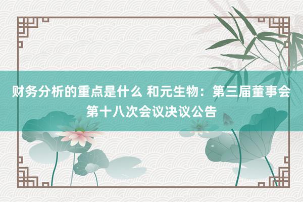 财务分析的重点是什么 和元生物：第三届董事会第十八次会议决议公告