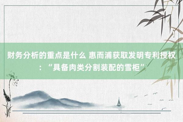 财务分析的重点是什么 惠而浦获取发明专利授权：“具备肉类分割装配的雪柜”