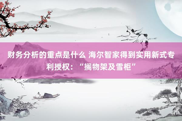 财务分析的重点是什么 海尔智家得到实用新式专利授权：“搁物架及雪柜”