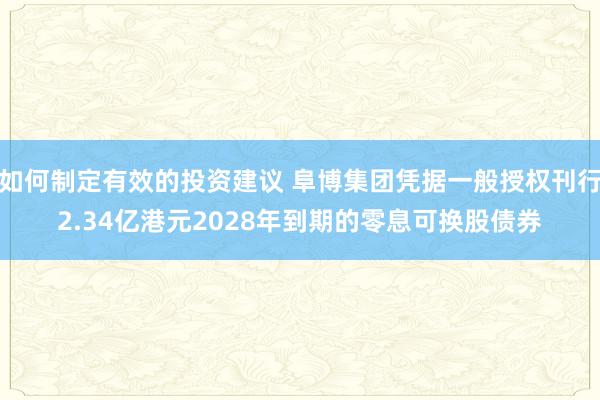 如何制定有效的投资建议 阜博集团凭据一般授权刊行2.34亿港元2028年到期的零息可换股债券