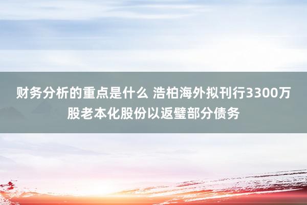 财务分析的重点是什么 浩柏海外拟刊行3300万股老本化股份以返璧部分债务