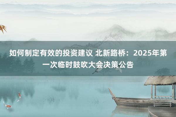 如何制定有效的投资建议 北新路桥：2025年第一次临时鼓吹大会决策公告