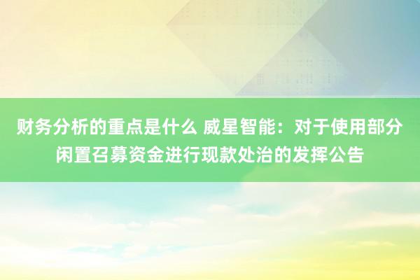 财务分析的重点是什么 威星智能：对于使用部分闲置召募资金进行现款处治的发挥公告