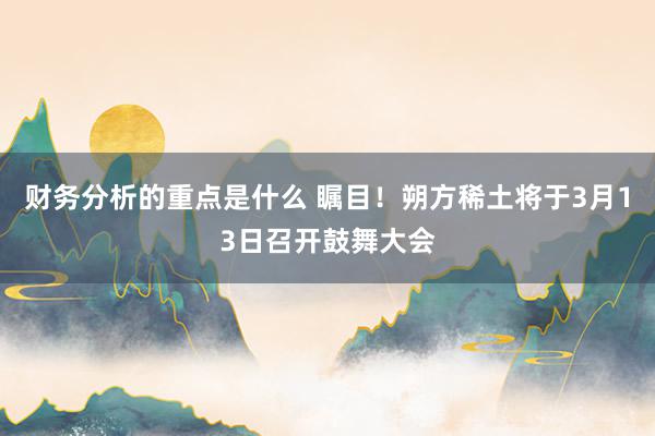 财务分析的重点是什么 瞩目！朔方稀土将于3月13日召开鼓舞大会