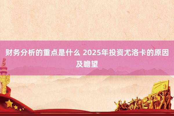 财务分析的重点是什么 2025年投资尤洛卡的原因及瞻望