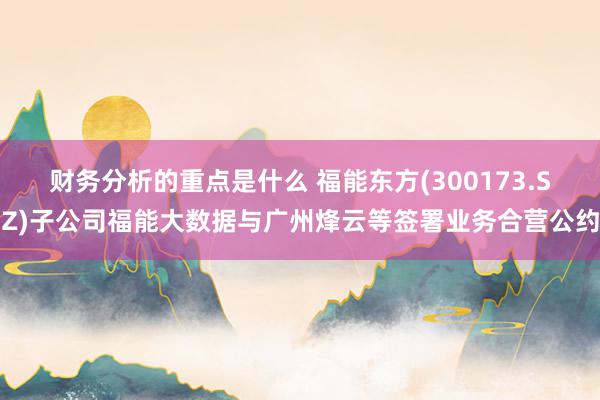 财务分析的重点是什么 福能东方(300173.SZ)子公司福能大数据与广州烽云等签署业务合营公约