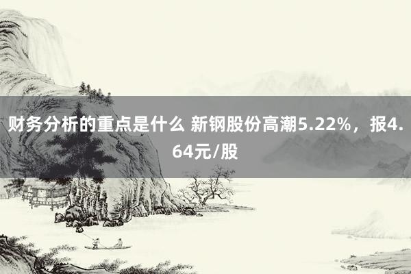 财务分析的重点是什么 新钢股份高潮5.22%，报4.64元/股