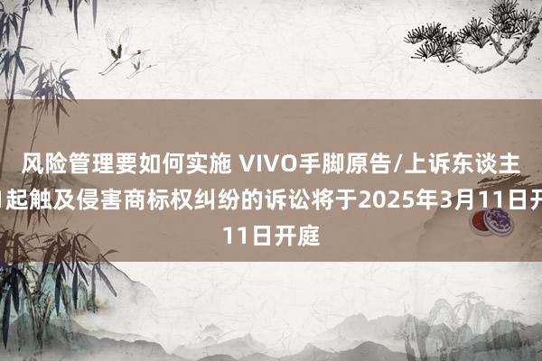 风险管理要如何实施 VIVO手脚原告/上诉东谈主的1起触及侵害商标权纠纷的诉讼将于2025年3月11日开庭