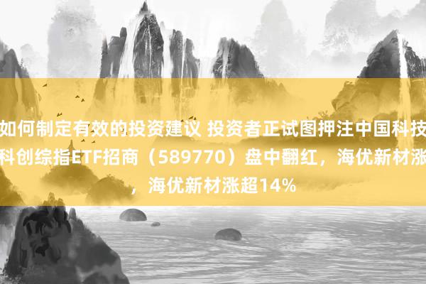 如何制定有效的投资建议 投资者正试图押注中国科技阛阓，科创综指ETF招商（589770）盘中翻红，海优新材涨超14%