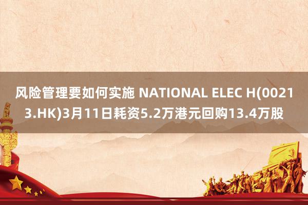 风险管理要如何实施 NATIONAL ELEC H(00213.HK)3月11日耗资5.2万港元回购13.4万股