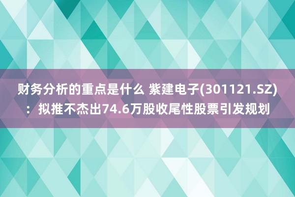 财务分析的重点是什么 紫建电子(301121.SZ)：拟推不杰出74.6万股收尾性股票引发规划