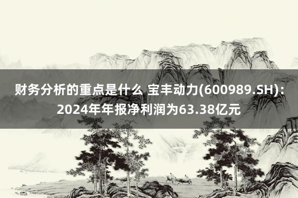 财务分析的重点是什么 宝丰动力(600989.SH)：2024年年报净利润为63.38亿元