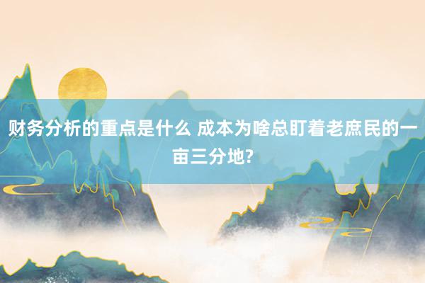 财务分析的重点是什么 成本为啥总盯着老庶民的一亩三分地?