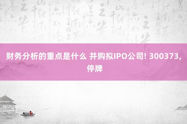 财务分析的重点是什么 并购拟IPO公司! 300373, 停牌