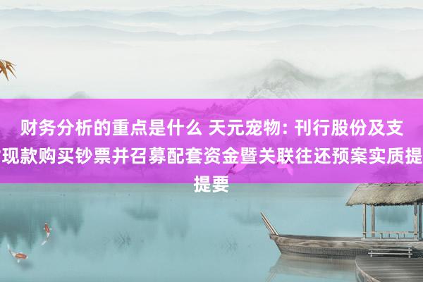 财务分析的重点是什么 天元宠物: 刊行股份及支付现款购买钞票并召募配套资金暨关联往还预案实质提要