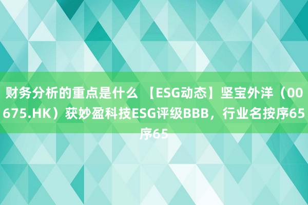 财务分析的重点是什么 【ESG动态】坚宝外洋（00675.HK）获妙盈科技ESG评级BBB，行业名按序65