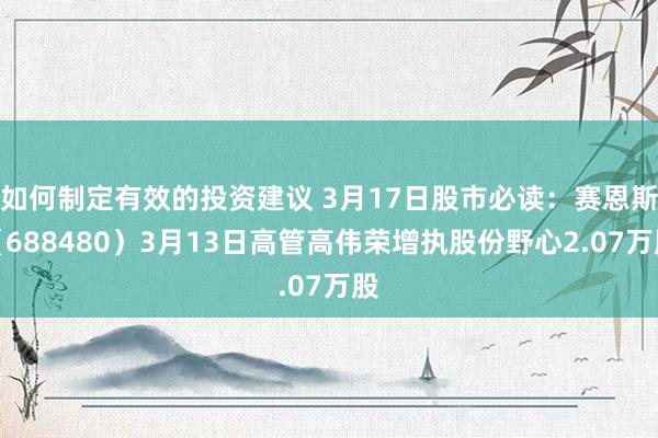 如何制定有效的投资建议 3月17日股市必读：赛恩斯（688480）3月13日高管高伟荣增执股份野心2.07万股