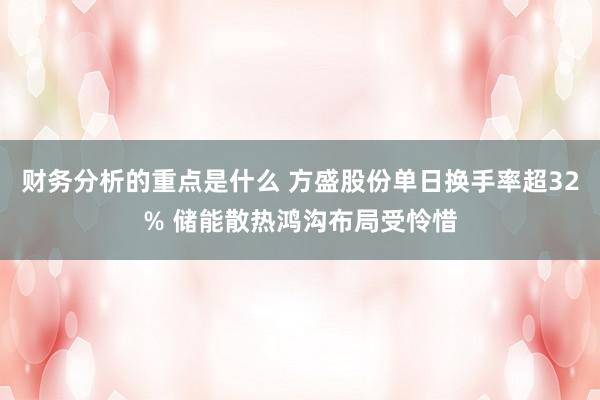 财务分析的重点是什么 方盛股份单日换手率超32% 储能散热鸿沟布局受怜惜