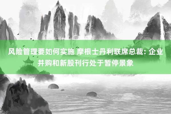 风险管理要如何实施 摩根士丹利联席总裁: 企业并购和新股刊行处于暂停景象