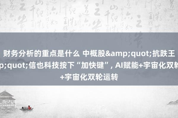 财务分析的重点是什么 中概股&quot;抗跌王&quot;信也科技按下“加快键”, AI赋能+宇宙化双轮运转