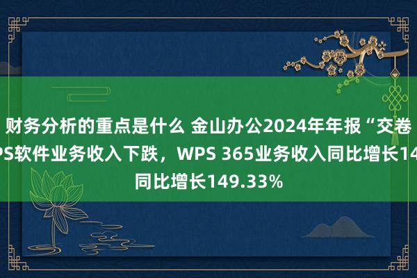 财务分析的重点是什么 金山办公2024年年报“交卷”：WPS软件业务收入下跌，WPS 365业务收入同比增长149.33%